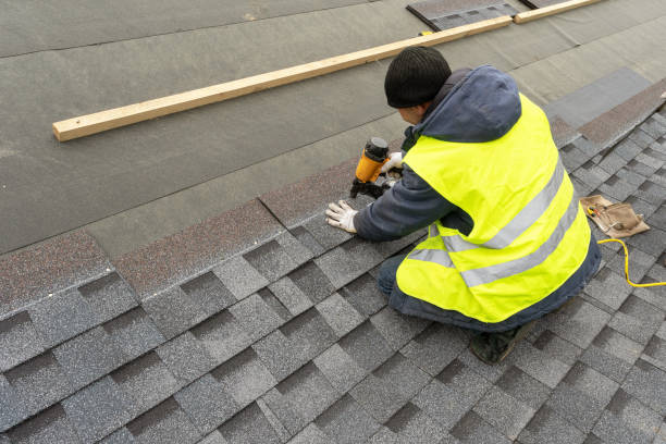 Best Residential Roofing Contractor  in Pine Ridge, FL