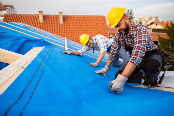 Best Roof Replacement Cost  in Pine Ridge, FL