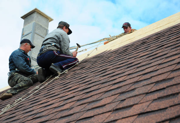 Quick and Trustworthy Emergency Roof Repair Services in Pine Ridge, FL